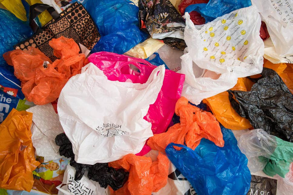 62e7c92da7b1f00b315b8915_plasticbagban0201