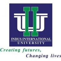 Indus International University